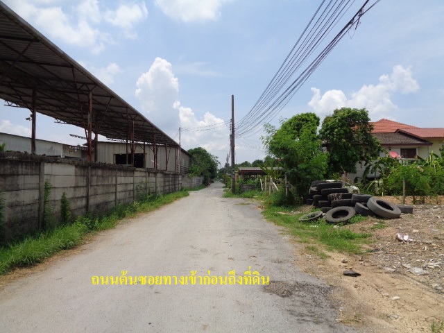 H1197 ขายที่ดิน 2 แปลงติดกัน ขนาด 3- 0 -44 ไร่ ซอยคุ้มเกล้า 3/1 (ซอยเฮง ออมสิน) ถนนคุ้มเกล้า ใกล้ถนนสุวินทวงศ์ (รูปที่ 6)