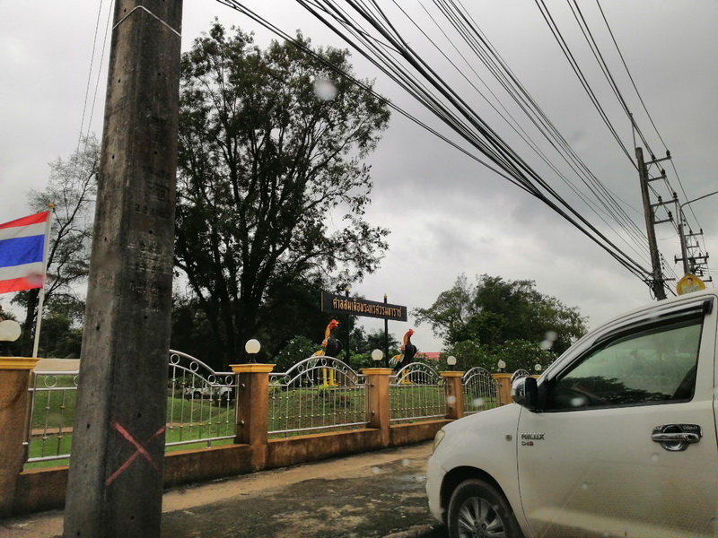 H965 ขายที่ดิน 3ไร่ 55.5 ตร.วา อยู่ใกล้ศาลสมเด็จพระนเรศวร ห่างจากถนนสุวรรณศร 300 เมตร เหมาะทำสวนหรือบ้านพักอาศัย (รูปที่ 2)