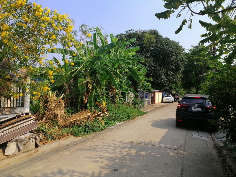 H1121 ขาย ที่ดิน 3-3-60 ไร่ อยู่ติดถนนใหญ่ ถนนวารินชำราบ-หนองงูเหลือม อยู่ห่างจากวัดหนองป่าพง ประมาณ 1 กิโลเมตร ต.แสนสุข อ.วารินชำราบ (รูปที่ 6)