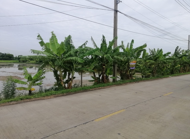 H1168 ขายที่ดินเปล่า5-0-6 ไร่ อยู่ถนนทางหลวงชนบท นนทบุรี3086 เลียบคลองโต๊ะใหม่ ต.บางคูรัด อ.บางบัวทอง นนทบุรี ห่างถนนวัดลาดปลาดุก2.4 กม. (รูปที่ 2)