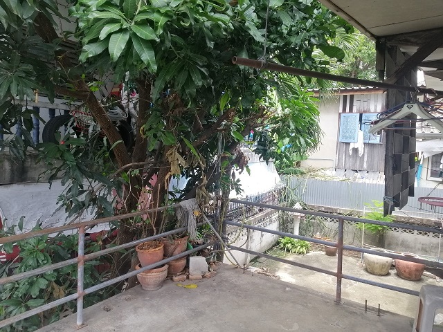 H1170 vายที่ดินพร้อมบ้านไม้ 41 ตร.วา อยู่ซอยอุดมสุข26 แยก47 (ซอยพึ่งทรัพย์11) หรือเข้าจากถนนบางนา-ตราด ซอย9 เพียง 500 เมตร. ใกล้เซ็นทรัล บางนา (รูปที่ 9)