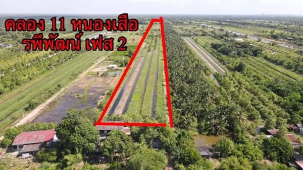 ถูกดีมีสดผ่อนที่ดินแบ่งขาย คลอง11 รพีพัฒน์ เฟส2 พร้อมให้จองแล้ว T.062-1574449 (รูปที่ 2)