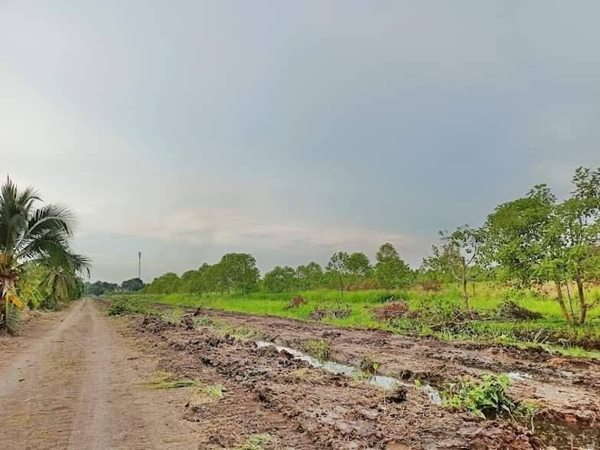 ขายที่ดินในราคาเจ้าของที่คลอง11เฟส2หนองเสือT.062-1574449 (รูปที่ 7)