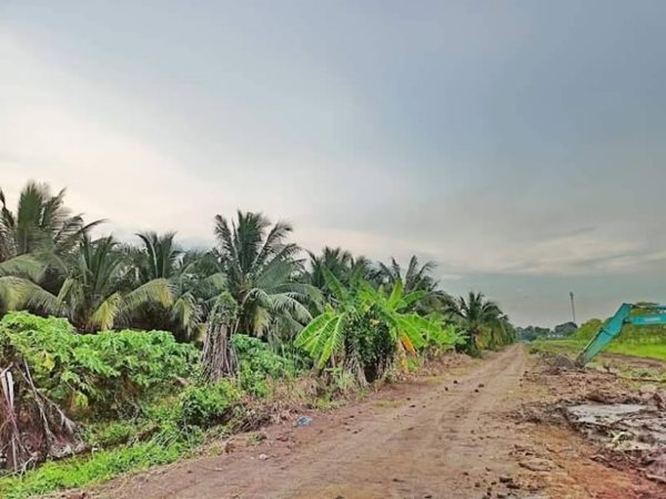 จัดด่วนผ่อนที่ฟรีดอกที่ดินคลอง11หนองเสือราคาเบาผ่อนสบาย. T.062-1574449 (รูปที่ 7)