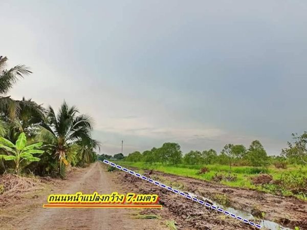 จัดด่วนผ่อนที่ฟรีดอกที่ดินคลอง11หนองเสือราคาเบาผ่อนสบาย. T.062-1574449 (รูปที่ 3)