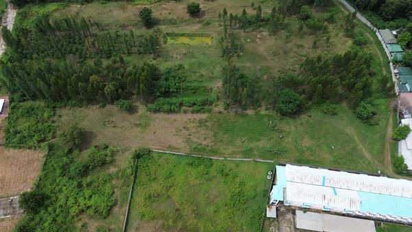 Land for sale Maha Sarakham ขายที่ดิน มหาสารคาม 2 ไร่ 2 งาน 22 ตรว. ติดถนนสาธารณะประโยชน์ โทร 061-1195112 (รูปที่ 7)