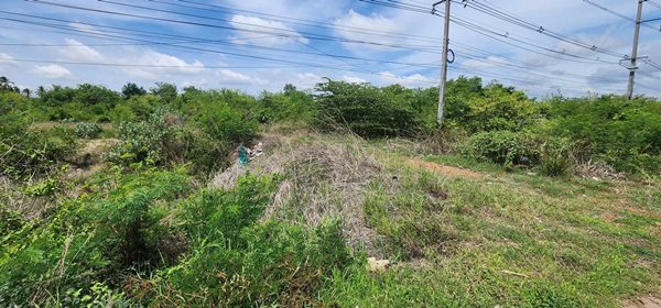 ขายที่ดิน ที่อรัญประเทศ สระแก้ว เนื้อที่ 2 ไร่ 2 งาน 75 ตรางวา ทำเลทอง ติดถนนใหญ่ 2 ข้าง โทร 0616102289 (รูปที่ 7)
