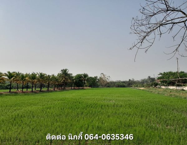 ขายด่วน!! ที่ดินเชียงใหม่ ติดพิพิธภัณฑ์พระพิฆเนศ อ.ดอยหล่อ พร้อมบ้าน 4 หลัง Tel. 064-0635346 (รูปที่ 6)