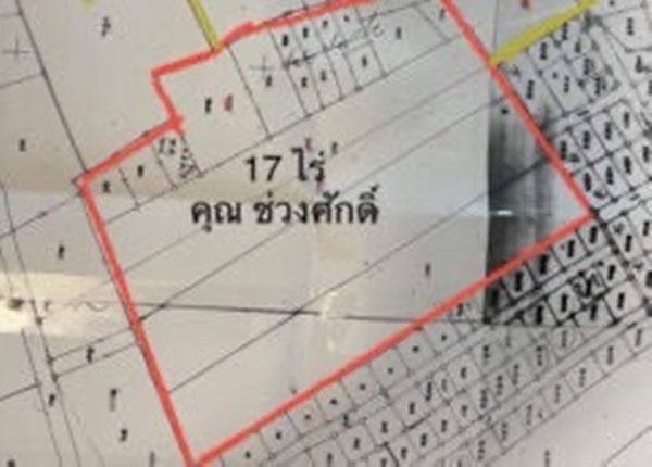ขายที่ดินสวย ถ.พระราม 2 ซอยบางกระดี่ 35 พื้นที่ 17 ไร่ เจ้าของขายเอง โทร 096-245-9629 (รูปที่ 4)