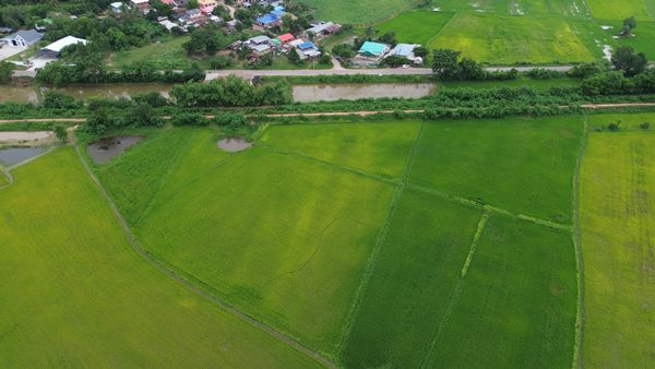 Land for sale Chaiyaphum ขายที่ดินชัยภูมิ มี 2 แปลง สามารถถมดิน ทำบ้าน ทำธุรกิจค้าขายได้ โทร 061-1195112 (รูปที่ 6)