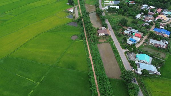 Land for sale Chaiyaphum ขายที่ดินชัยภูมิ มี 2 แปลง สามารถถมดิน ทำบ้าน ทำธุรกิจค้าขายได้ โทร 061-1195112 (รูปที่ 5)
