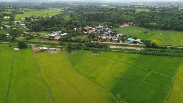 Land for sale Chaiyaphum ขายที่ดินชัยภูมิ มี 2 แปลง สามารถถมดิน ทำบ้าน ทำธุรกิจค้าขายได้ โทร 061-1195112 (รูปที่ 8)