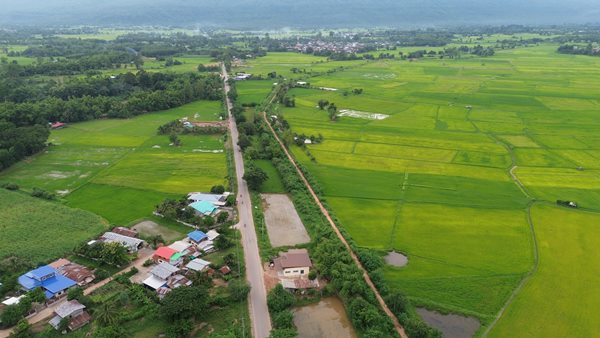 Land for sale Chaiyaphum ขายที่ดินชัยภูมิ มี 2 แปลง สามารถถมดิน ทำบ้าน ทำธุรกิจค้าขายได้ โทร 061-1195112 (รูปที่ 7)