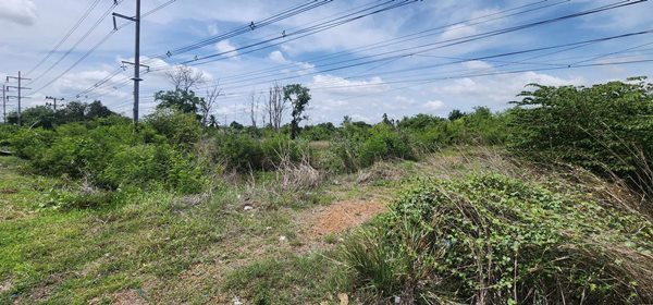 ขายที่ดิน สระแก้ว ที่อรัญประเทศ ทำเลทอง ติดถนนใหญ่ 2 ข้าง 2ไร่ 2งาน 75ตร.ว. โทร 0616102289 (รูปที่ 6)