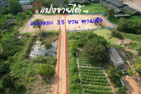ขายที่ดินเปล่า 1 ไร่ 3 งาน อ.พนัสนิคม จ.ชลบุรี ติดถนนสาธารณะ มีทางเข้าออก 2 ทาง โทร 0937892952 (รูปที่ 3)