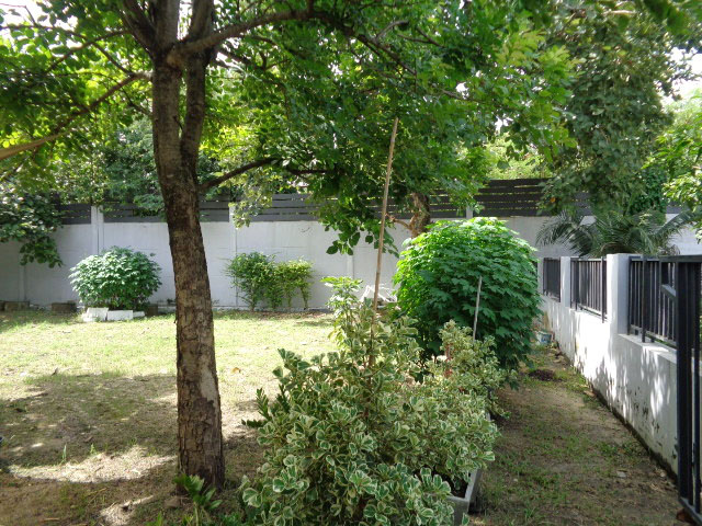 ปัญญาอินทรา P4 (รูปที่ 8)