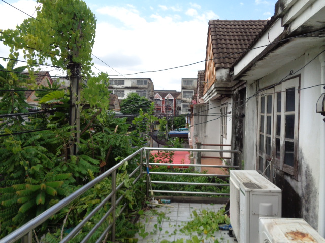 บดินทรรักษา 3 (รูปที่ 13)
