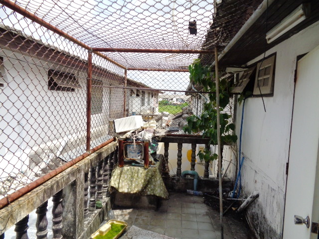 บดินทรรักษา 3 (รูปที่ 15)