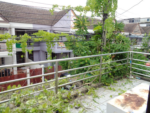 บดินทรรักษา 3 (รูปที่ 12)