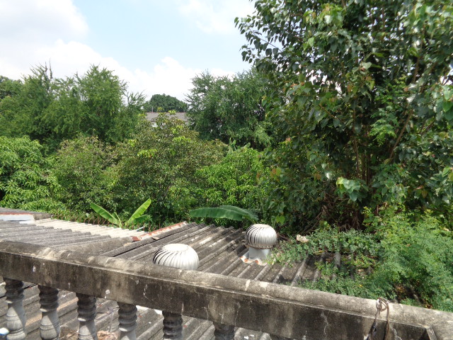 วงศกร 1 (รูปที่ 6)