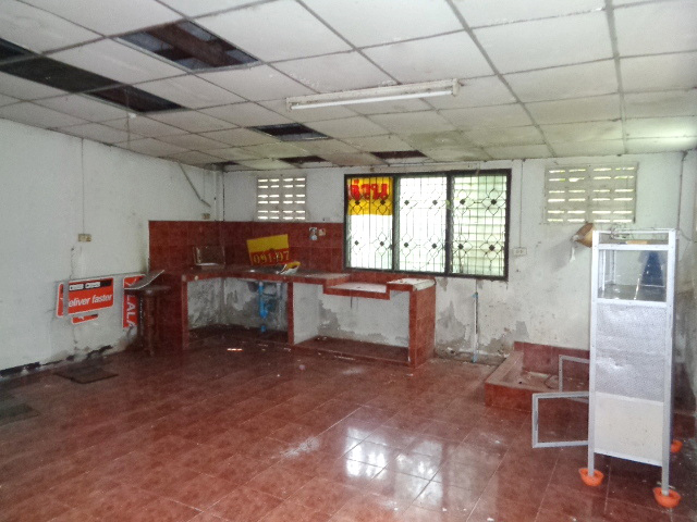 วงศกร 1 (รูปที่ 13)