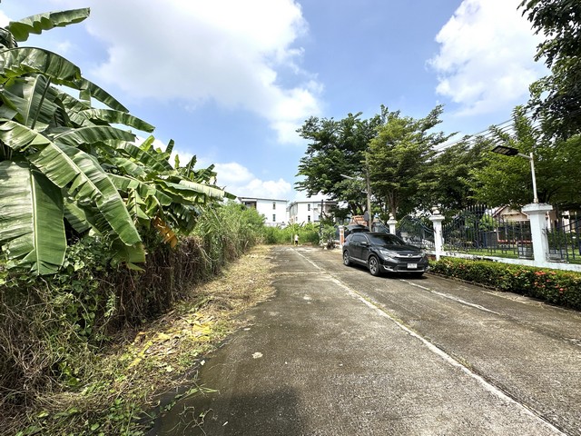 ที่ดินถมแล้ว 1 ไร่ ซ.แจ้งวัฒนะ-ปากเกร็ด23 ตรงข้ามเซ็นทรัลแจ้งวัฒนะ ถนนข้างวีรสุ-แจ้งวัฒนะ บางพูด ปากเกร็ด นนทบุรี (รูปที่ 3)