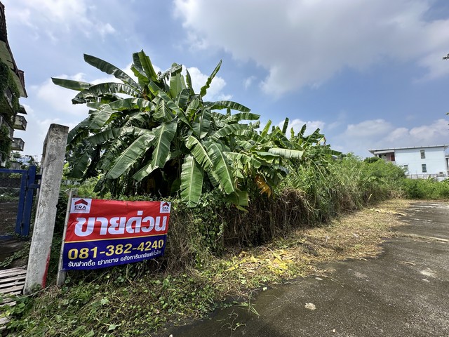 ที่ดินถมแล้ว 1 ไร่ ซ.แจ้งวัฒนะ-ปากเกร็ด23 ตรงข้ามเซ็นทรัลแจ้งวัฒนะ ถนนข้างวีรสุ-แจ้งวัฒนะ บางพูด ปากเกร็ด นนทบุรี (รูปที่ 8)