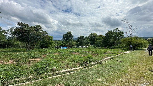 ขายที่ดินใกล้สนามกอล์ฟเซอร์เจมส์ คันทรีคลับ 244ตร.ว ปลูกบ้านสวย (รูปที่ 4)