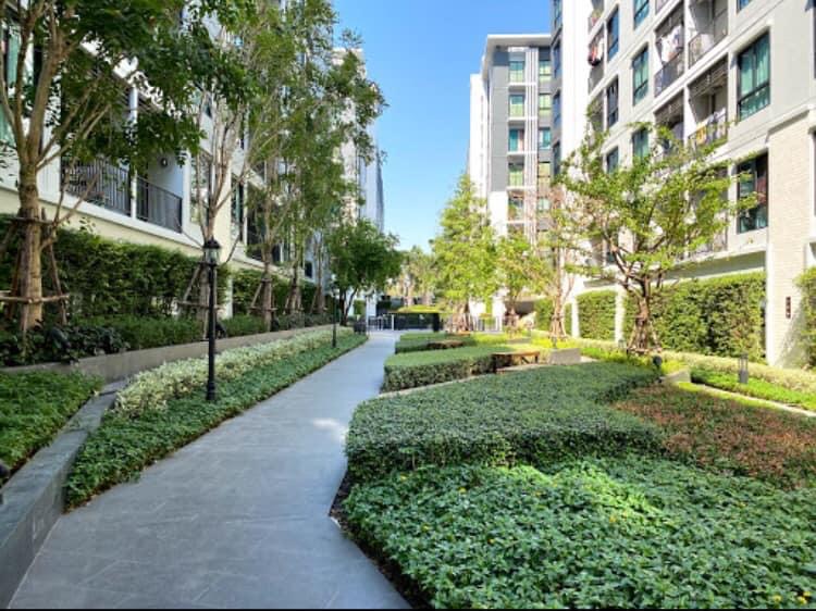 Notting Hill Sukhumvit105 ติด bts แบริ่ง 400เมตร (รูปที่ 8)