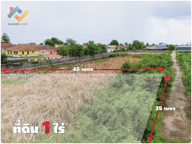 ที่ดิน รังสิต - นครนายก 43 ธัญบุรี ปทุมธานี ใกล้ ฟิวเจอร์ (รูปที่ 3)