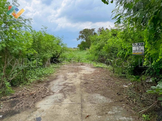 ที่ดิน รังสิต - นครนายก 43 ธัญบุรี ปทุมธานี ใกล้ ฟิวเจอร์ (รูปที่ 6)