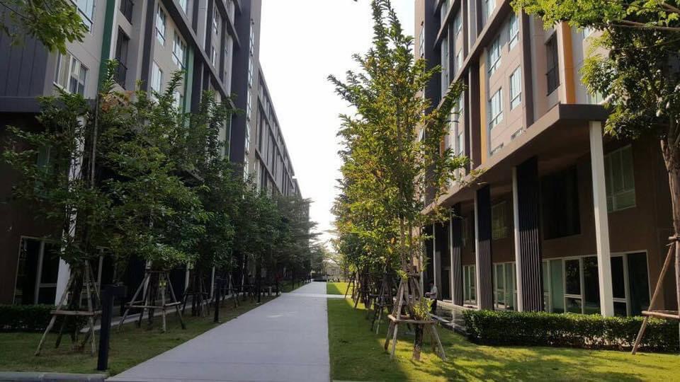 ปล่อยเช่าคอนโด D condo ABAC Bangna Building B (winter) ชั้น7 พื้นที่ 37 ตรม (รูปที่ 10)