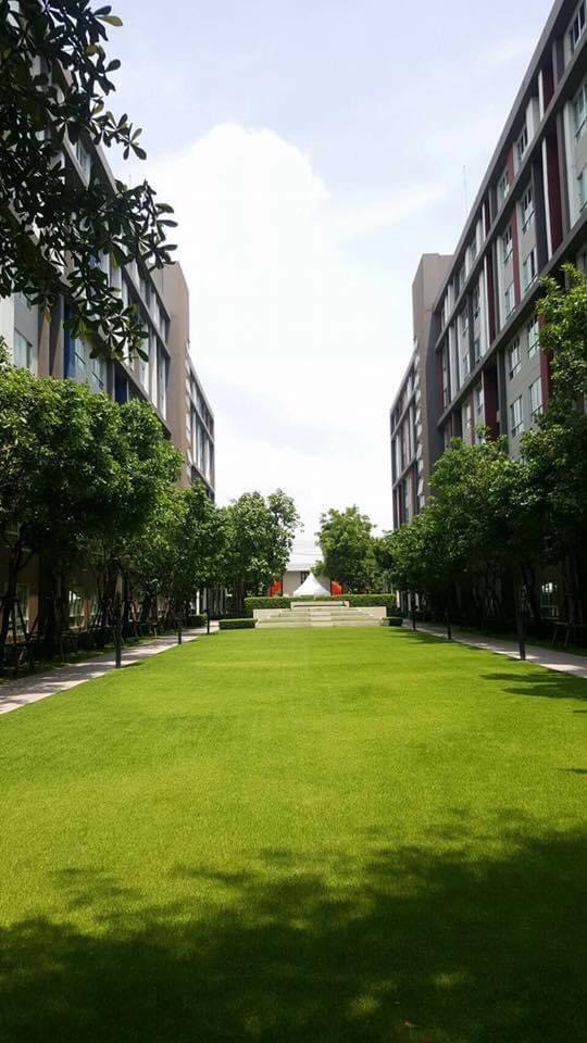 ปล่อยเช่าคอนโด D condo ABAC Bangna Building B (winter) ชั้น7 พื้นที่ 37 ตรม (รูปที่ 9)