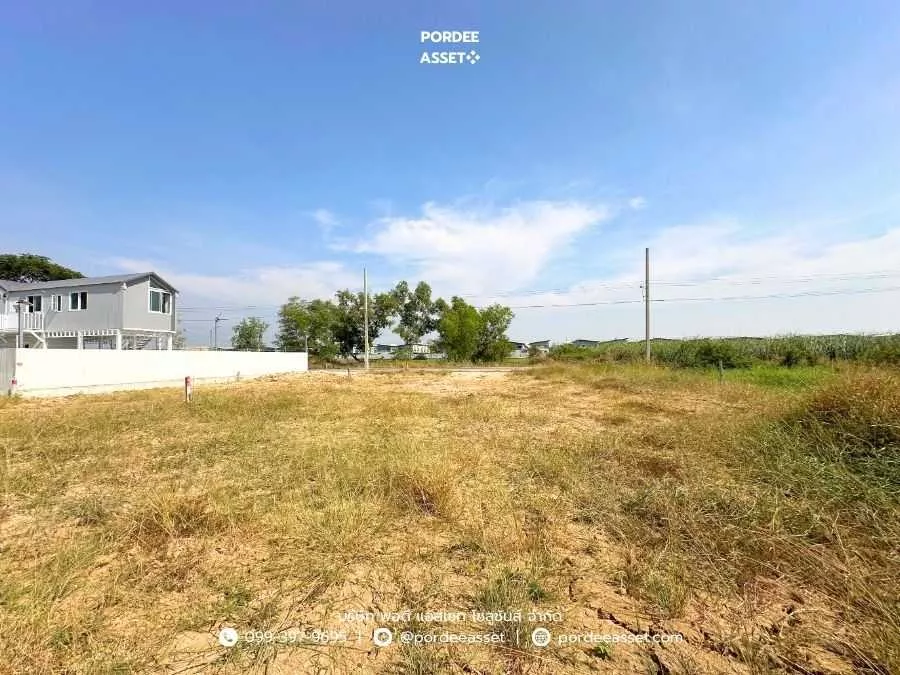 ที่ดินถมแล้ว 60 ตร.ว. แปลงสวยติดถนน น้ำไฟพร้อม ใกล้บิ๊กซีไทรน้อย ซื้อไว้ลงทุน/ปลูกบ้าน/สร้างบ้านขาย กำไรตั้งแต่ซื้อ คลองขวาง, ไทรน้อย, นนทบุรี (รูปที่ 8)