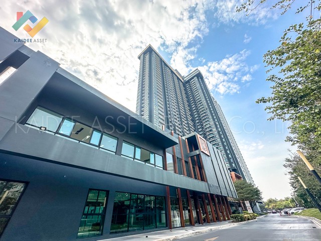 คอนโด The Tree Rio Bang-Aor เดอะ ทรี ริโอ บางอ้อ Fully Furnished (รูปที่ 8)