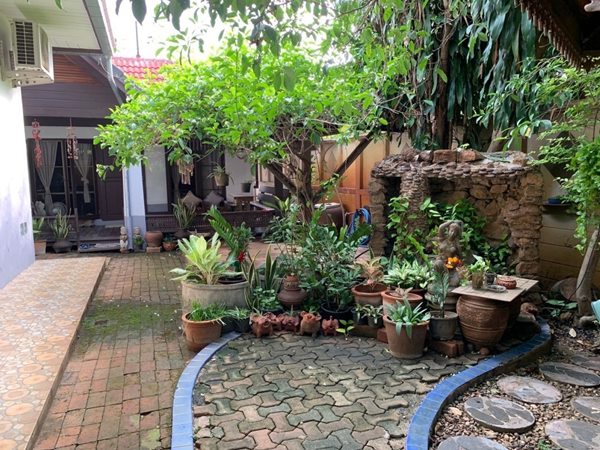 ขายบ้านพร้อมที่ดิน พร้อมสระว่ายน้ำ หนองหอย เมืองเชียงใหม่ (ใกล้เวียงกุมกาม) โทร 0817647894 (รูปที่ 12)