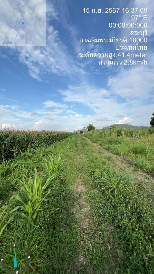 ขายที่ดินเปล่า 1ไร่ ราคาถูก ซอยวัดหนองหว้า อ.เฉลิมพระเกียรติ จ.สระบุรี โ️ทร ️098-513-6286 (รูปที่ 4)
