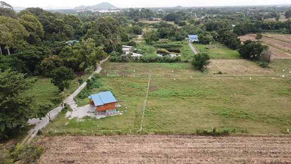 ขายที่ดิน 350ตรว ต.ห้วยบง อ.เฉลิมพระเกียรติ จ.สระบุรี ถนนสาธารณะทุกแปลง โทร 093-441-5691 (รูปที่ 2)