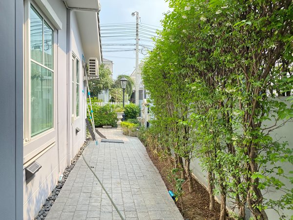 ให้เช่าบ้าน หมู่บ้านพฤกษ์ลดา ประชาอุทิศ 90 หลังมุม เฟอร์ครบ สนามกว้าง หลังใหญ่ที่สุดใน 4 โซนใหม่ โทร 0633659464 (รูปที่ 17)