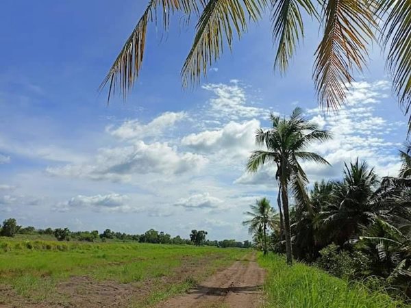 ฟรีดอก ผ่อนยาว ดาวน์น้อย-สาย สะสมที่ดิน ออมที่ดีกว่าออมทอง ที่ดินเงินผ่อน ไม่มีดอกเบี้ย T.062-1574449 (รูปที่ 8)