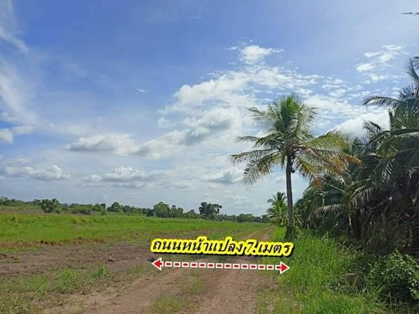 ฟรีดอก ผ่อนยาว ดาวน์น้อย-สาย สะสมที่ดิน ออมที่ดีกว่าออมทอง ที่ดินเงินผ่อน ไม่มีดอกเบี้ย T.062-1574449 (รูปที่ 10)