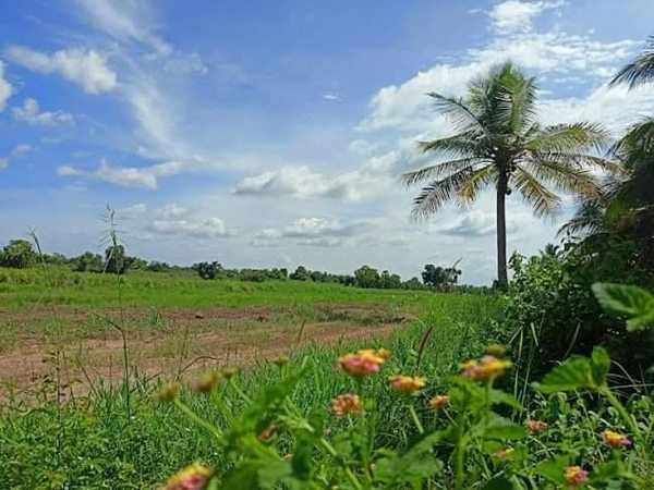 ผ่อนสบาย เพื่อสายผ่อนออนซอนหัวใจที่ดินผ่อนได้ไร้ดอกราคาเบา ที่ดินเงินผ่อน ไม่มีดอกเบี้ย T.062-1574449 (รูปที่ 3)