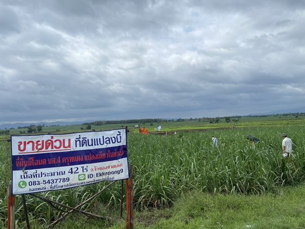 ด่วน ขายที่ดินแม่สอด-ห้วยกระโหลก จำนวน 42 ไร่ (ที่ดินมีโฉนด นส.4 ครุฑแดงแปลงเดียวในย่านนี้) (รูปที่ 9)