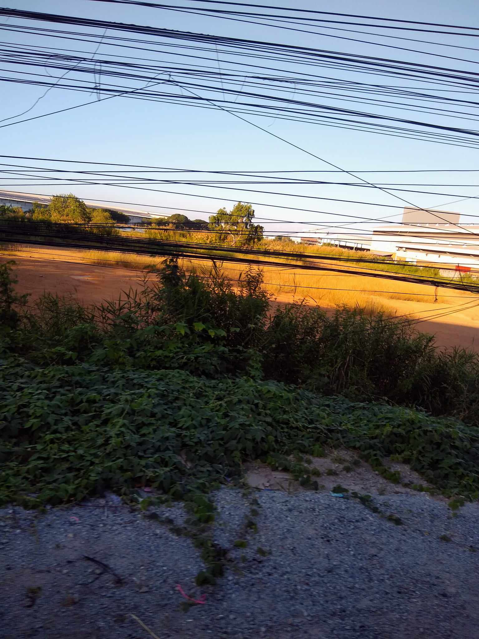 ติดถนน บางนา ตราด ที่ดิน 5-2-35 ไร่ หน้างกว้าง 58 เมตร ผังสีส้ม (รูปที่ 7)
