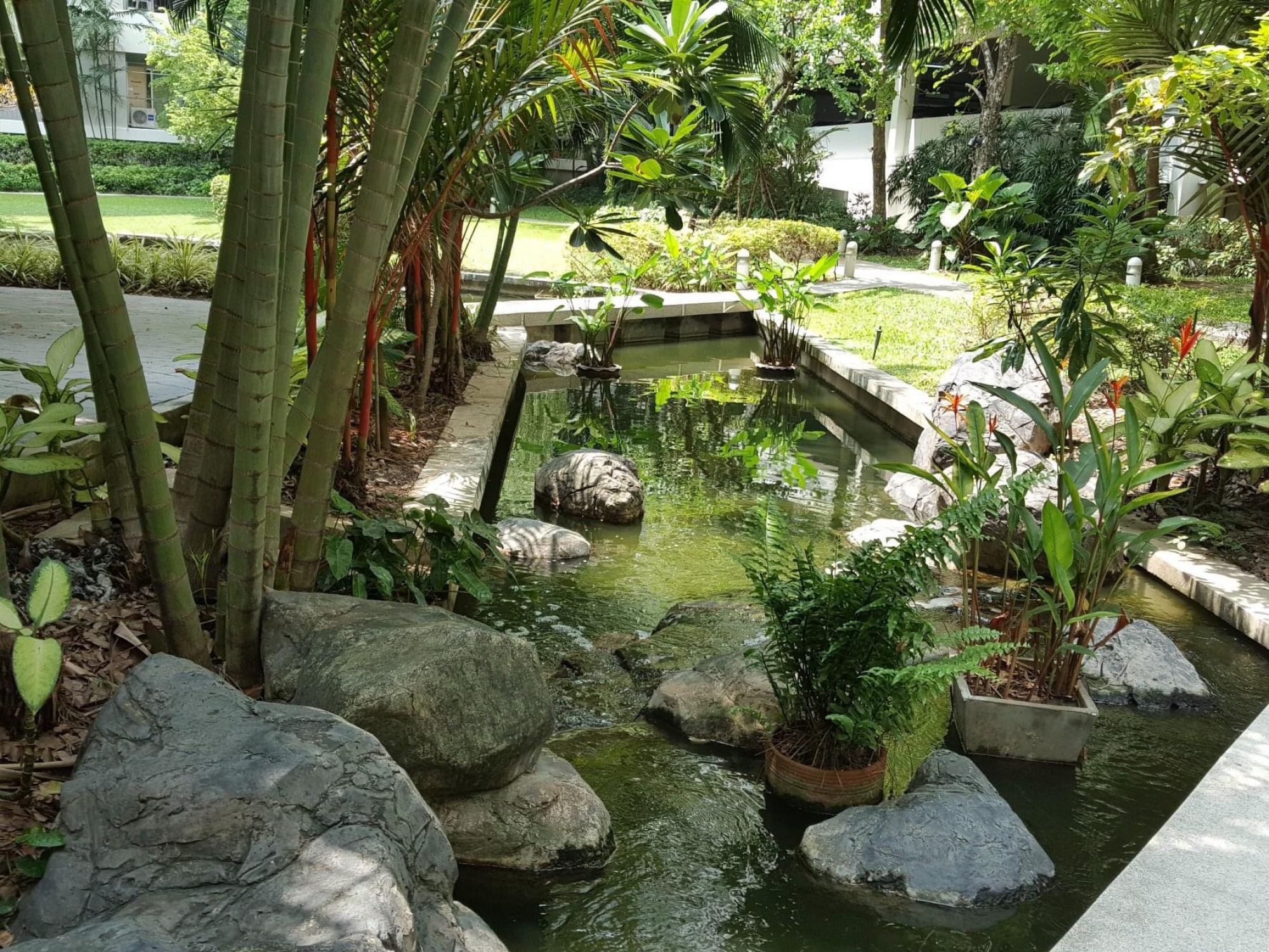 ขาย - ?The Parkland ศรีนครินทร์ (รูปที่ 20)