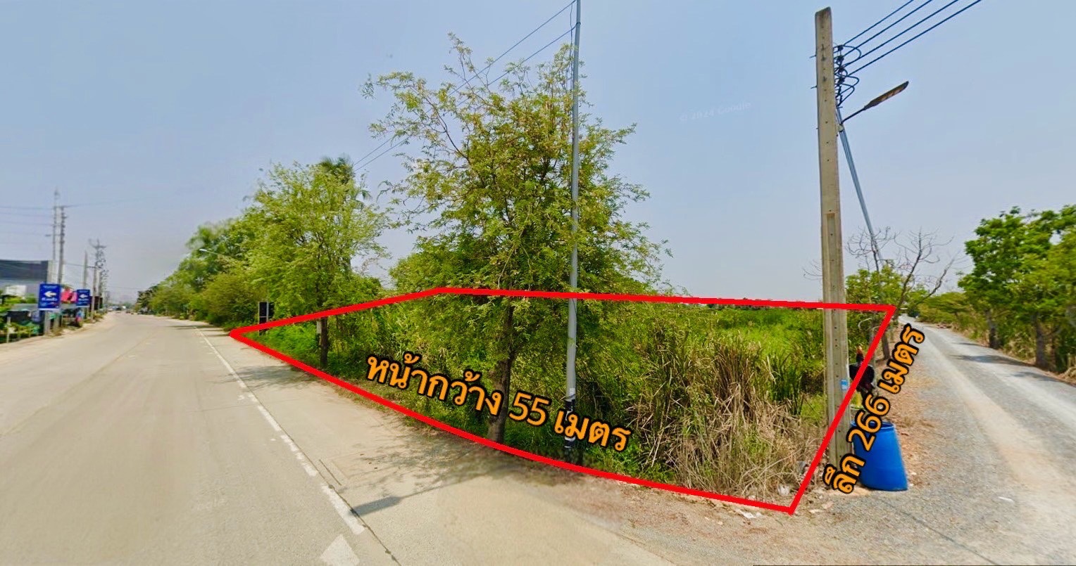 ขายที่ดินผืนใหญ่นนทบุรี ติดถนนกว้างเกิน 10 เมตร ซอยวัดพระเงิน (บางม่วง-บางคูลัด) อ.บางกรวย(บางใหญ่) นนทบุรี (รูปที่ 2)