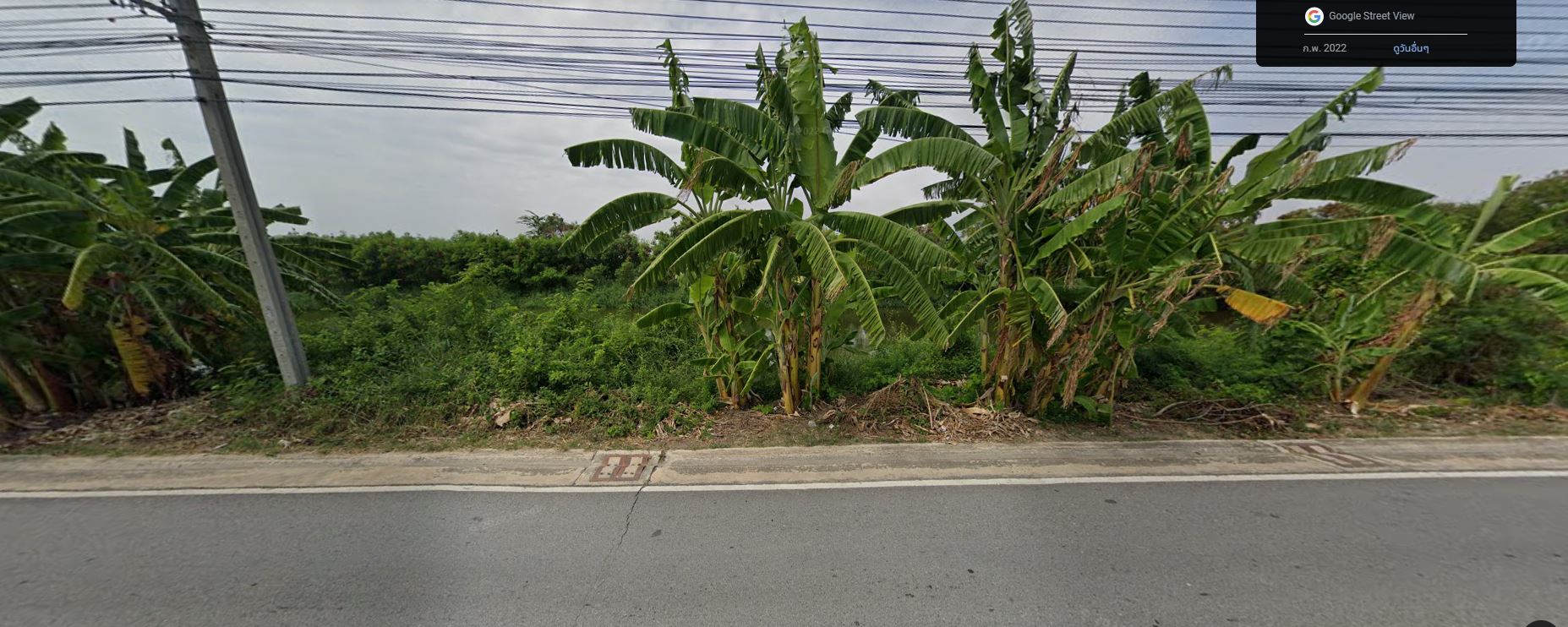 ขายที่ดินทำเลดีในซอยเทศบาลบางปู 113 ใกล้สนามบินสุวรรณภูมิ (รูปที่ 4)