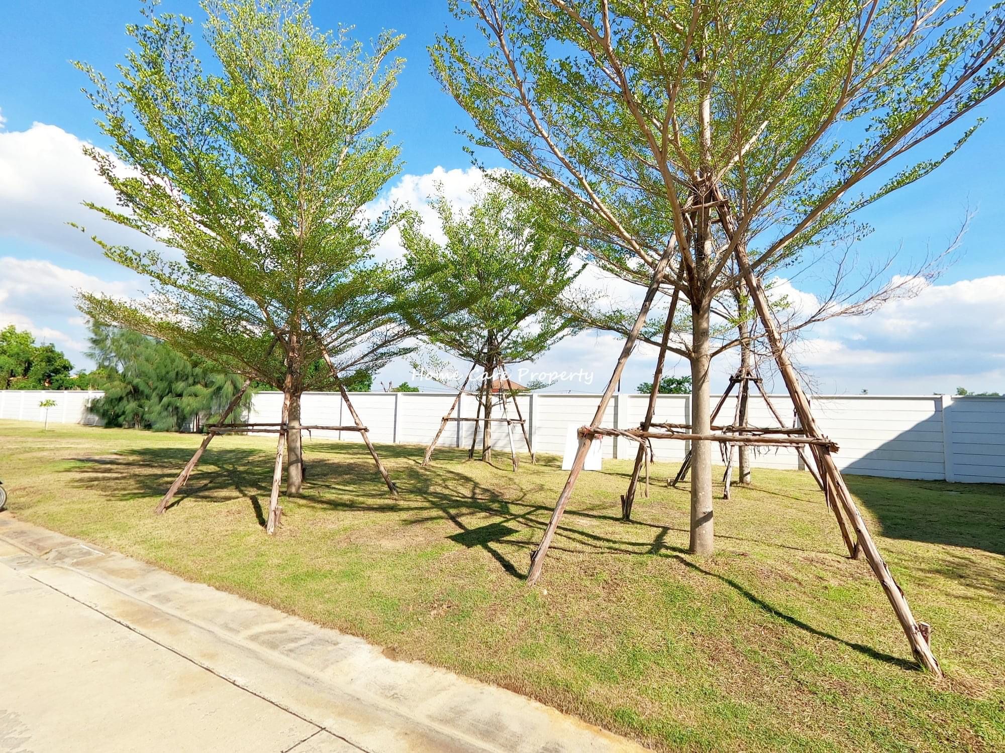 บ้านเดี่ยว ดีไลท์ ดอนเมือง-รังสิต (รูปที่ 31)