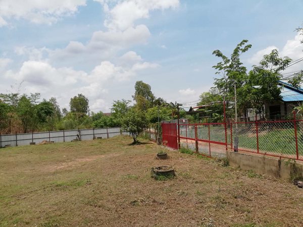 บ้านให้เช่า อยู่ตำบลโพธิ์ศรี อ.พิบูลมังสาหาร จ.อุบลราชธานี มีรั้วล้อม บรรยากาศดี โทร. 0870705615 (รูปที่ 5)