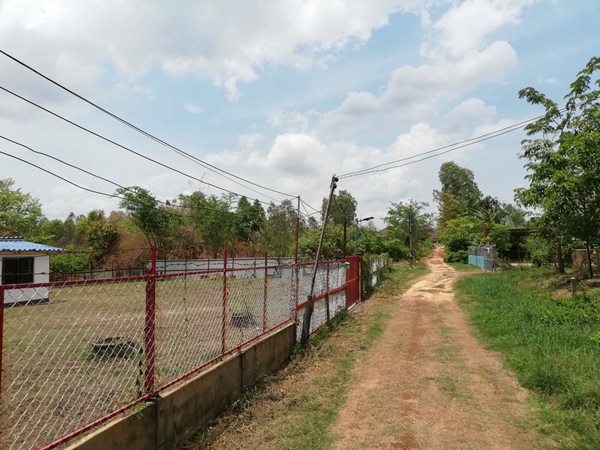 บ้านให้เช่า อยู่ตำบลโพธิ์ศรี อ.พิบูลมังสาหาร จ.อุบลราชธานี มีรั้วล้อม บรรยากาศดี โทร. 0870705615 (รูปที่ 6)
